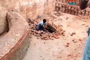 “যুবকের চিতা বাঘের সঙ্গে প্রাণপণ লড়াই—সোশ্যাল মিডিয়ায় তোলপাড়!”
