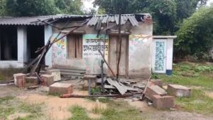 বৃষ্টির মধ্যে দাঁতালের হানায় আতঙ্ক ছড়াল সাঁকরাইলের পালোইডাঙ্গা-জামবেদিয়া এলাকায়